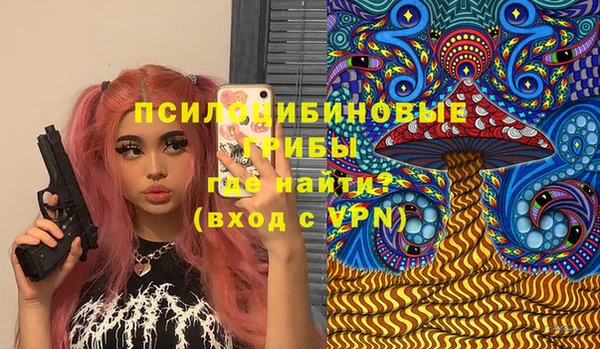 винт Вяземский