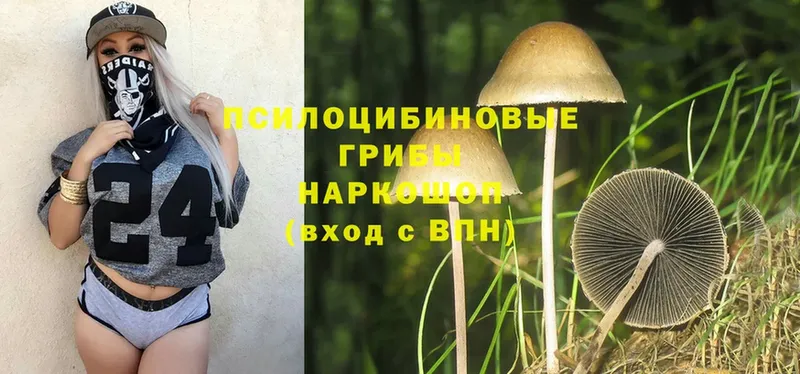 Псилоцибиновые грибы MAGIC MUSHROOMS  Карасук 