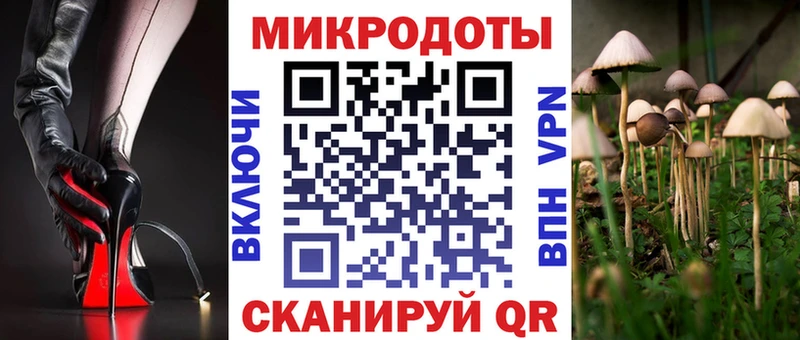 Псилоцибиновые грибы Magic Shrooms  ОМГ ОМГ ССЫЛКА  Карасук 
