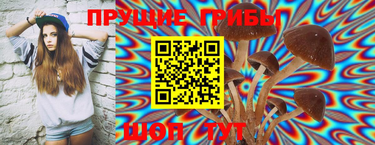 Карасук  Галлюциногенные грибы Psilocybine cubensis  Вход с VPN 